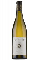 Soente Cotarella 2023