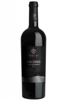 Amjonis Tondini 2022