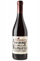 Amarone Fulminato 2022