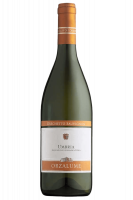 Orzalume Grechetto Sauvignon Castello Di Corbara 2010