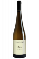 Terre Di Ala Bianco 2024 Paolo E Noemia d'Amico