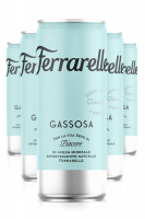 Gassosa Ferrarelle Cassa da 12 Lattine x 25cl
