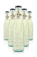 Ginger Beer Classico Bio Galvanina Cassa Da 24 bottiglie x 200ml
