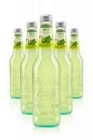 Bergamotto Bio Galvanina Cassa Da 12 bottiglie x 355ml