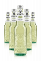Ginger Ale Bio Galvanina Cassa da 24 bottiglie x 20cl