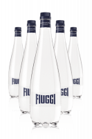 Acqua Fiuggi Frizzante 33cl Cassa Da 12 Bottiglie In Plastica