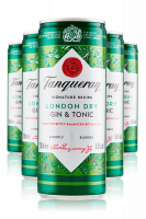 Tanqueray & Tonic Cassa da 12 Lattine x 25cl