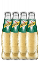 Schweppes Ginger Ale da 4 bottiglie x 18cl