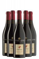 6 Bottiglie Lambrusco Amabile Codarossa Albinea Canali