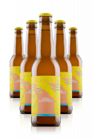 Mikkeller Drink'In The Sun Cassa da 24 Bottiglie x 33cl