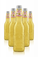 Aranciata Bio Galvanina Cassa Da 12 Bottiglie x 355ml
