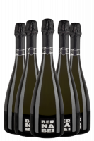 6 Bottiglie Prosecco DOC Treviso Millesimato 2023 Bernabei 