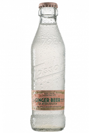 Ginger Beer La Biologica Tassoni 18cl