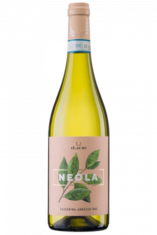 Passerina Neola iLauri 2025