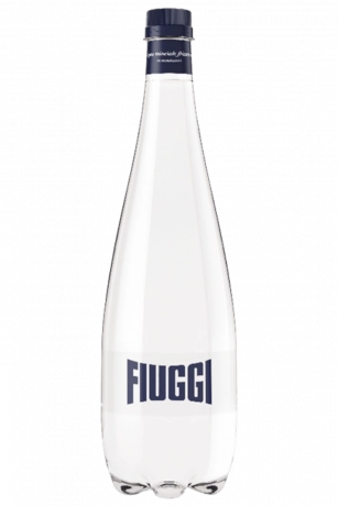 Acqua Fiuggi Frizzante In Plastica 33cl