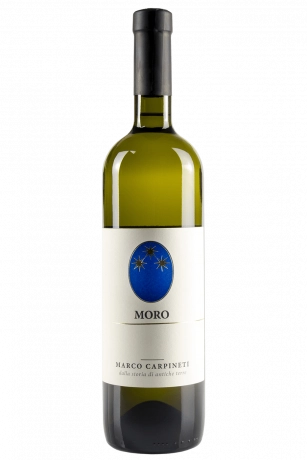 Moro Marco Carpineti 2023