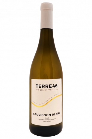 Sauvignon Blanc Terre46 2025