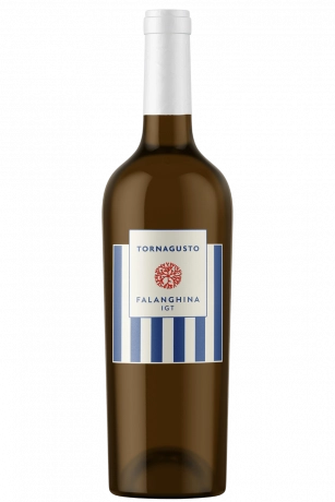 Falanghina Tornagusto 2025 