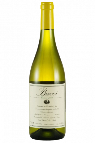 Verdicchio Dei Castelli Di Jesi Classico Superiore Villa Bucci 2025