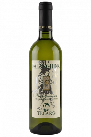Mezza Bottiglia Falanghina Roccamonfina Telaro 2025 375ml