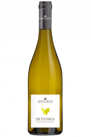 Sauvignon Blanc Destinéa Joseph Mellot 2022