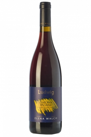 Pinot Nero Ludwig Elena Walch 2023