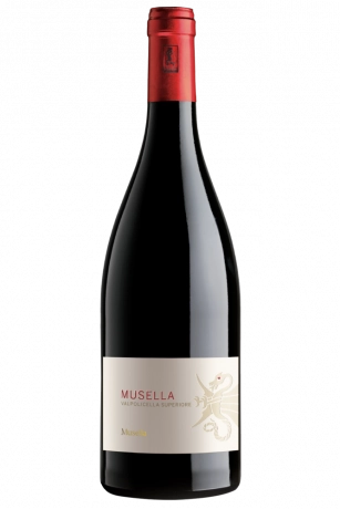 Valpolicella Superiore Musella 2021 