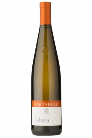 Verdicchio Dei Castelli Di Jesi Classico Superiore Balciana Sartarelli 2022