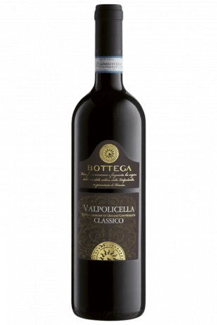 Valpolicella Classico Bottega 2018