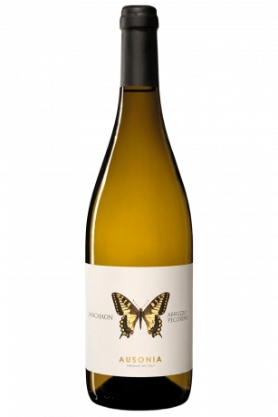 Pecorino Machaon Ausonia 2023