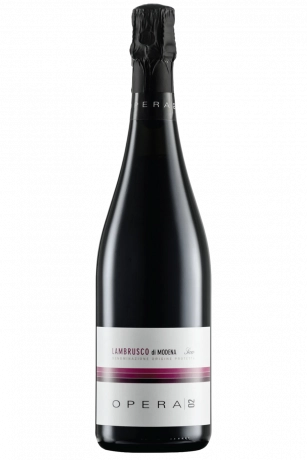 Lambrusco Secco Opera02