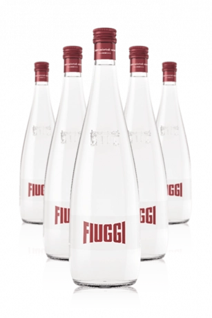 Acqua Fiuggi Leggermente Frizzante 25cl Cassa Da 12 Bottiglie In Vetro